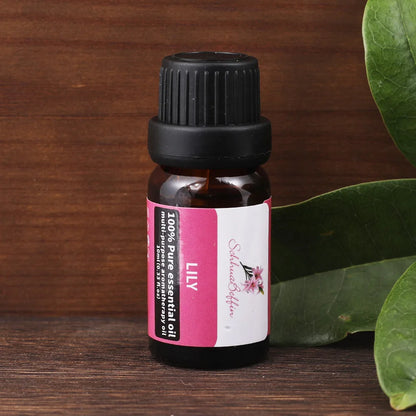Aromia Huile pour bijoux